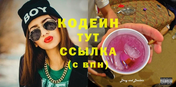 метадон Няндома